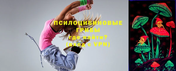амф Аркадак