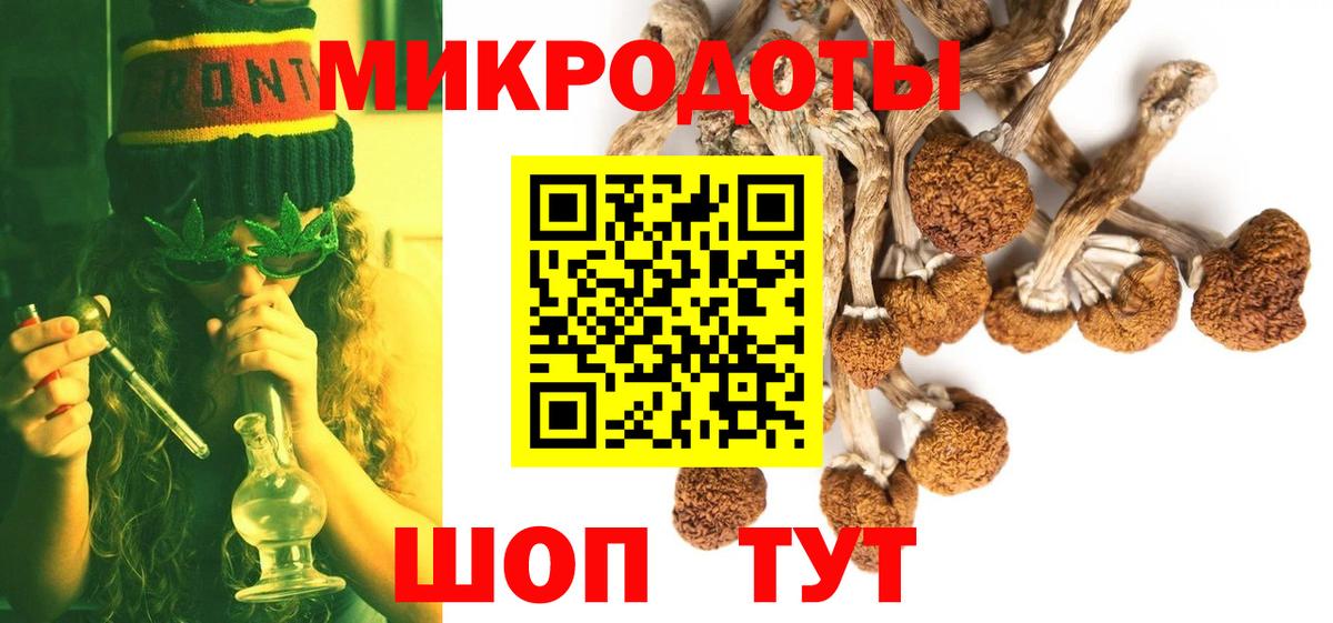 Псилоцибиновые грибы Psilocybine cubensis Глазов